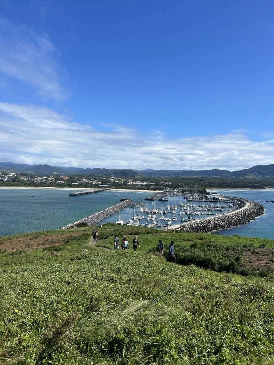 Muttonbird Island Reserve, Coffs harbour, New South Wales, Australia