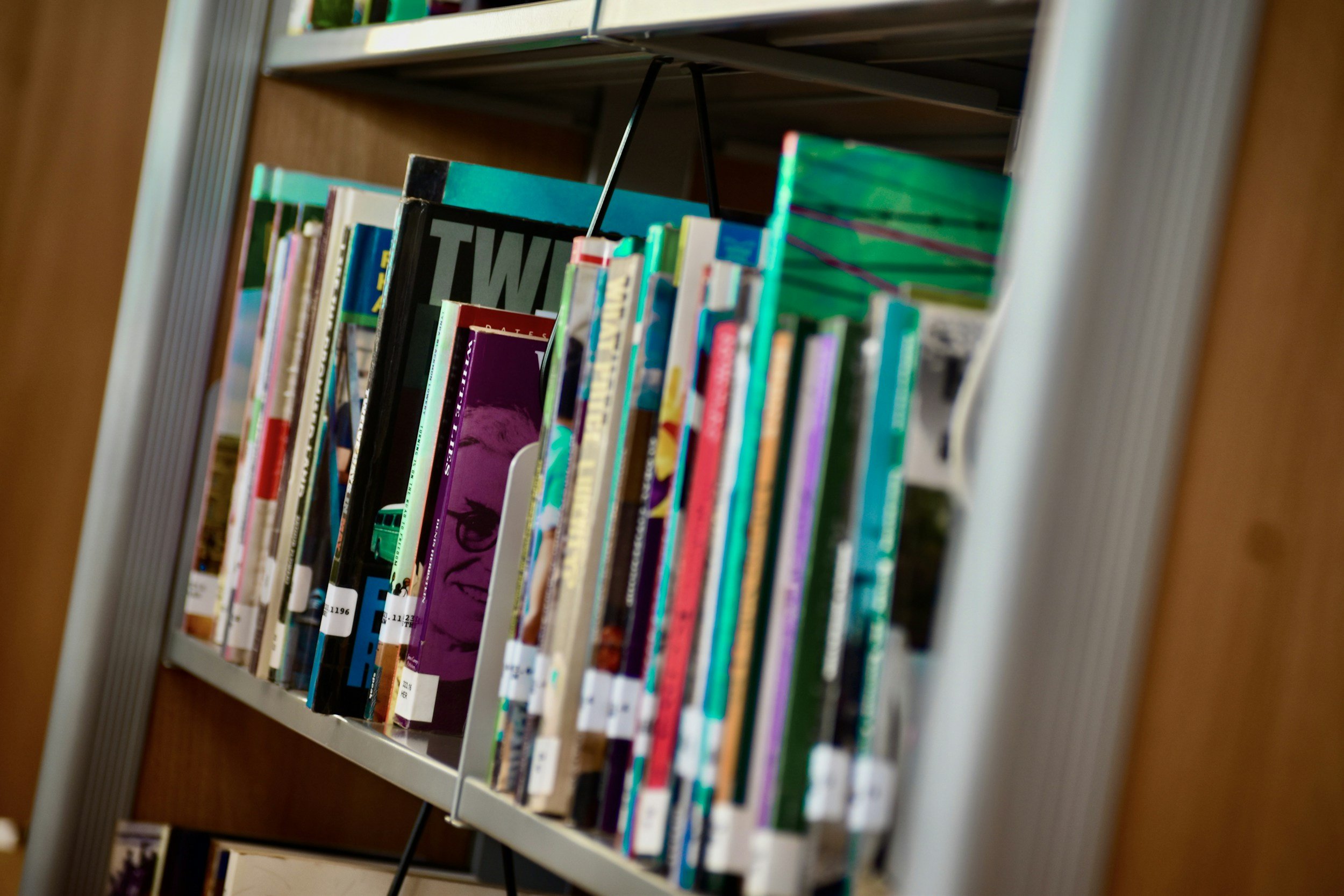 Library shelf of books