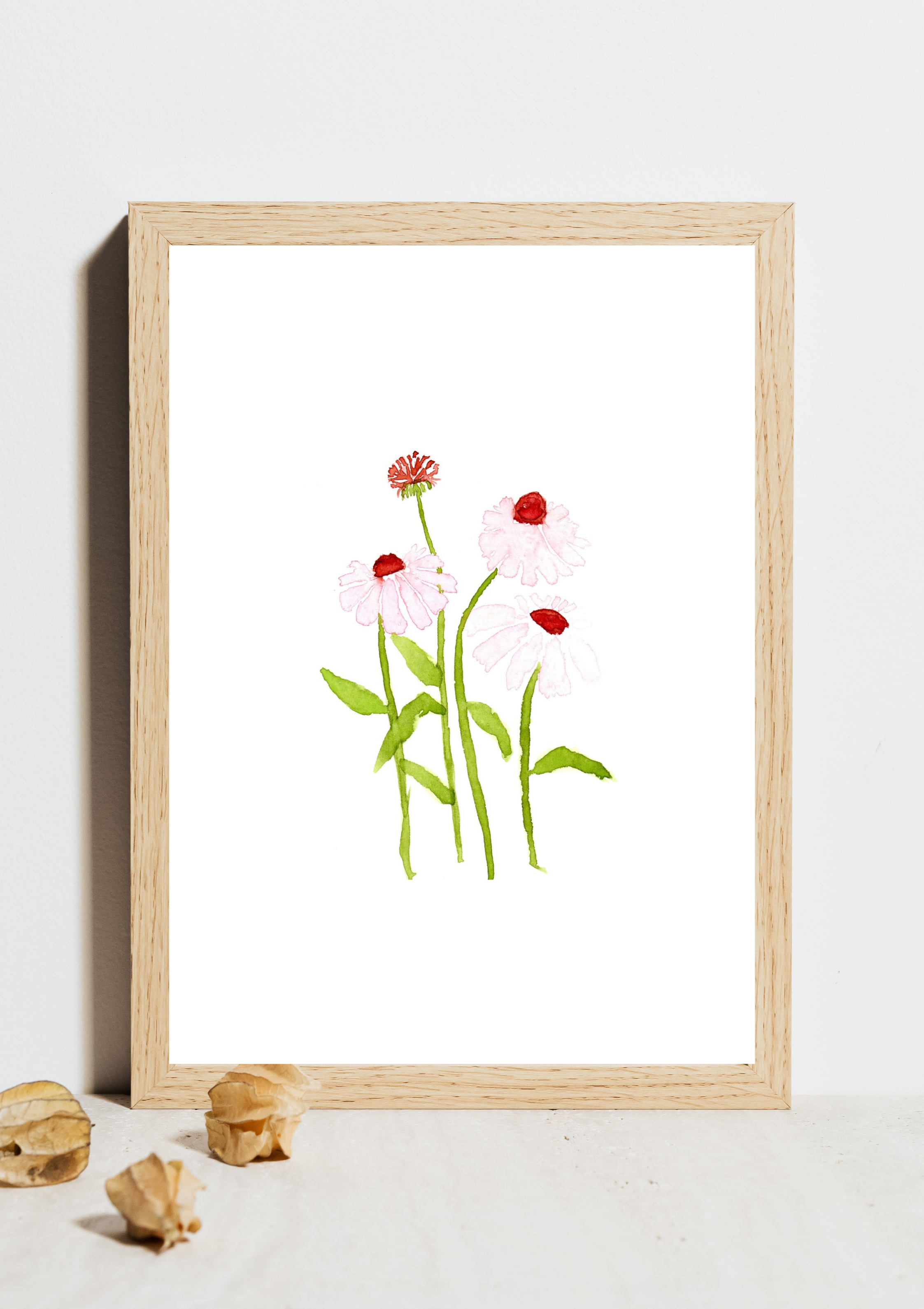 Echinacea No.2 Hand-Painted Watercolor Art