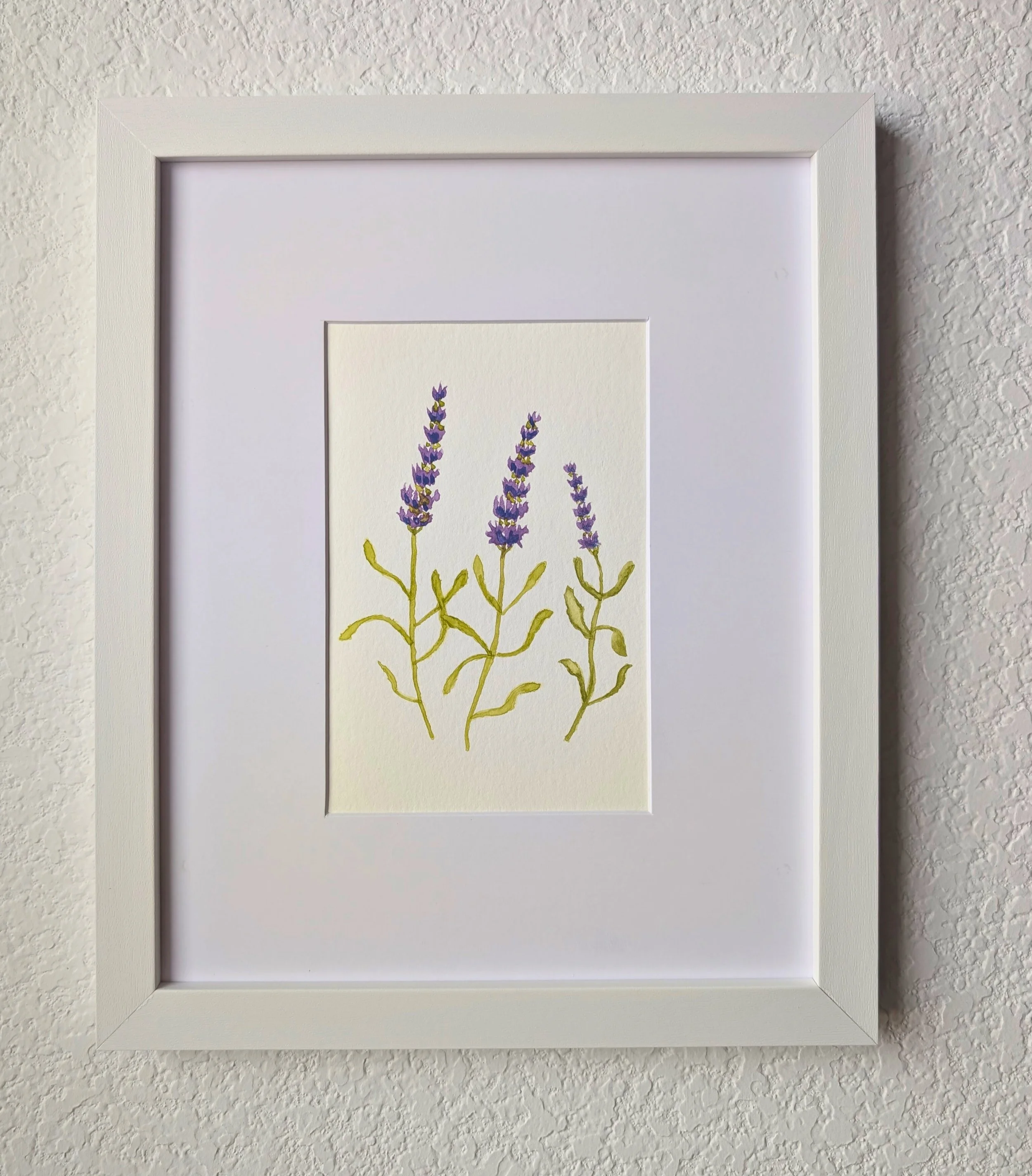 PXL_20260219_173934467 - Edited.jpg