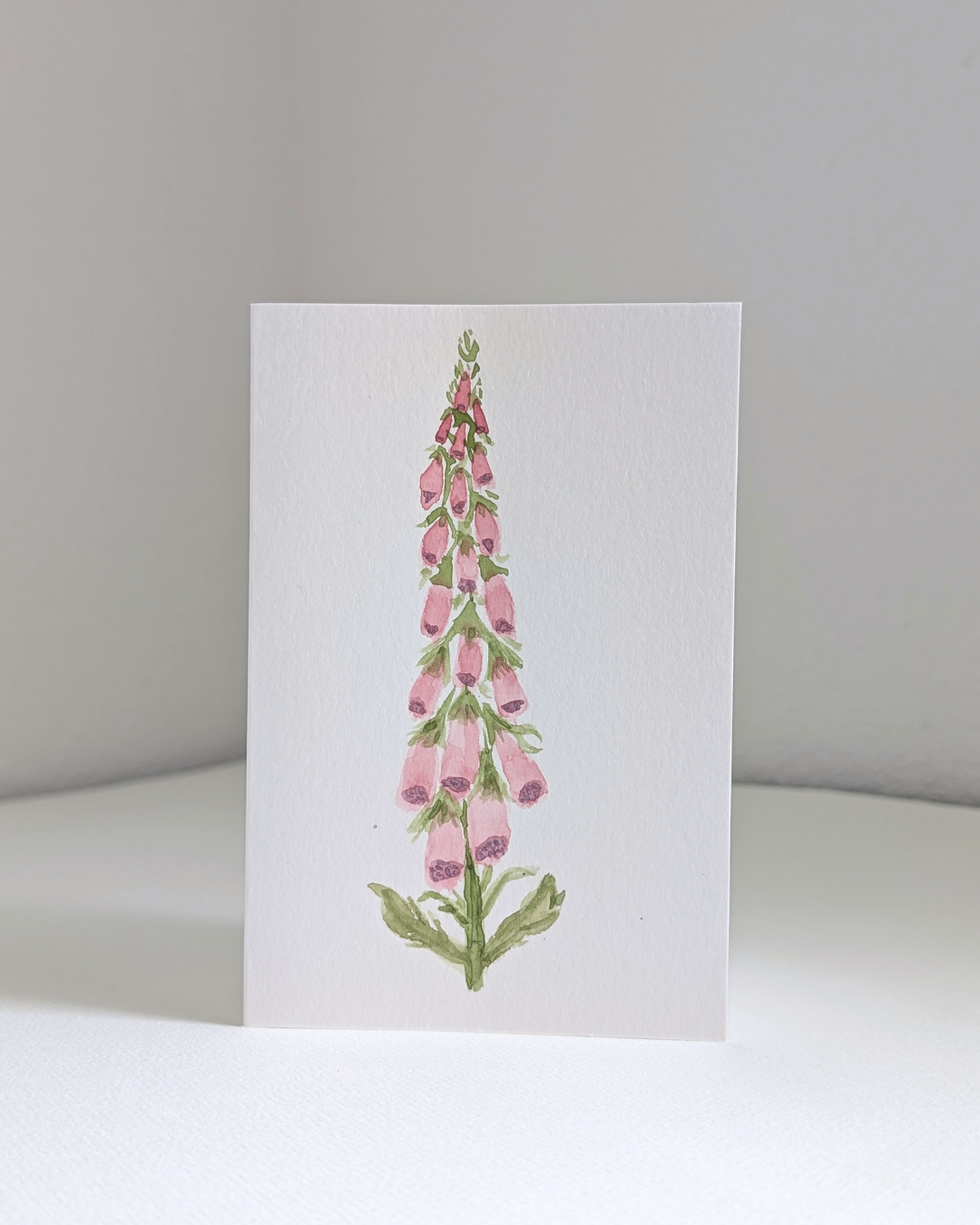 foxglove no. 1