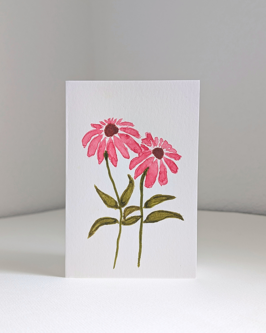 echinacea_no.1.png