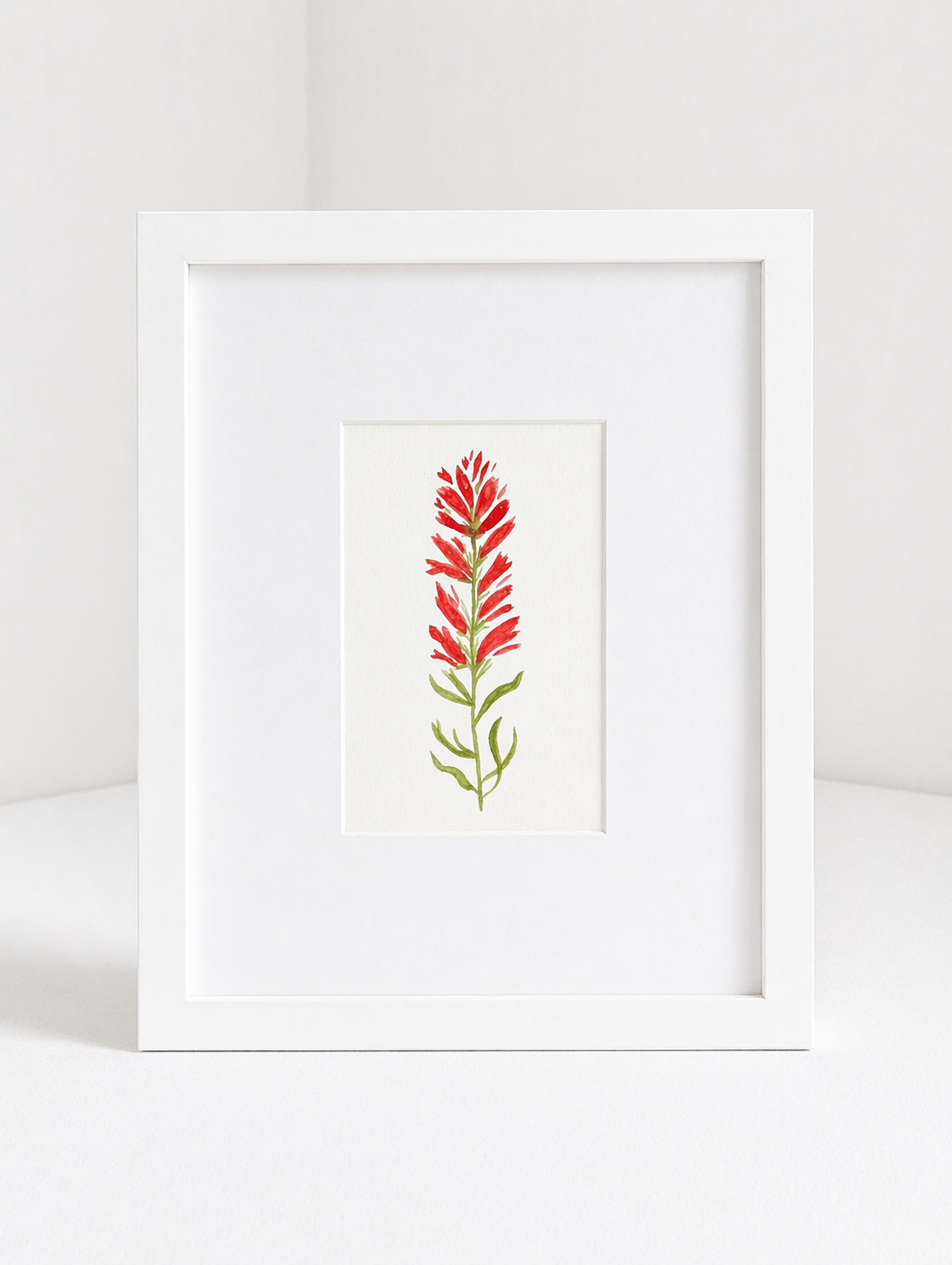 indian_paintbrush_no.2.png