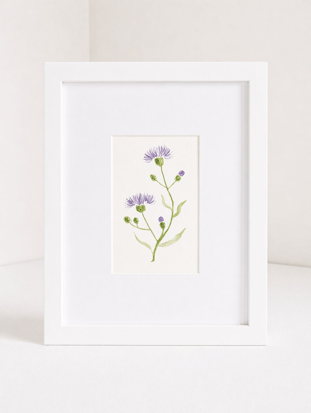 cornflower_no.2.png