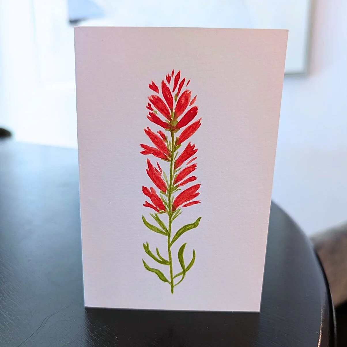 Indian Paintbrush No.2 Original Watercolor Painting | 4x6