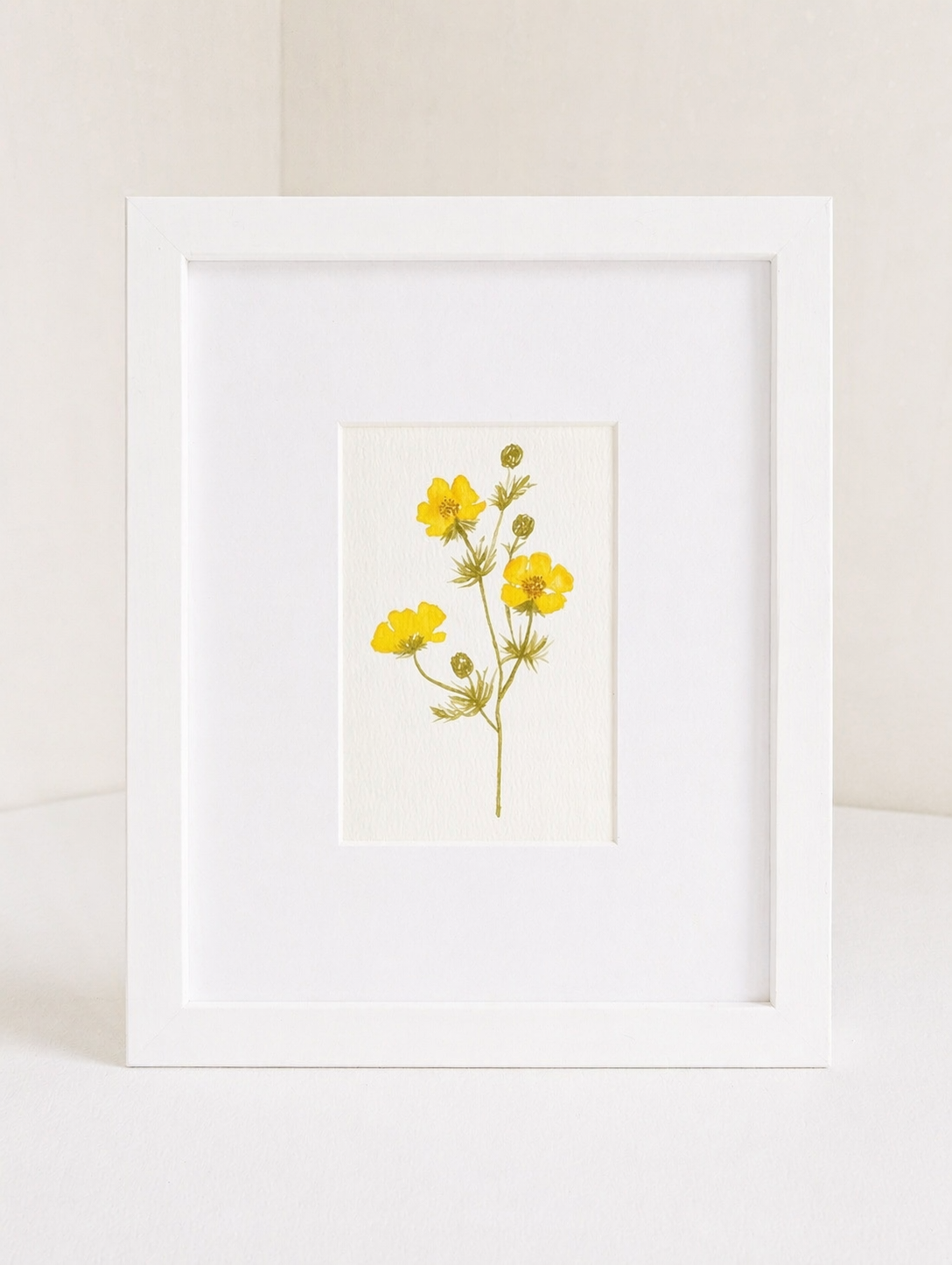 buttercup_no.2.png