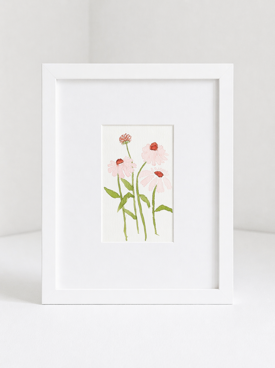 echinacea_no.2.png