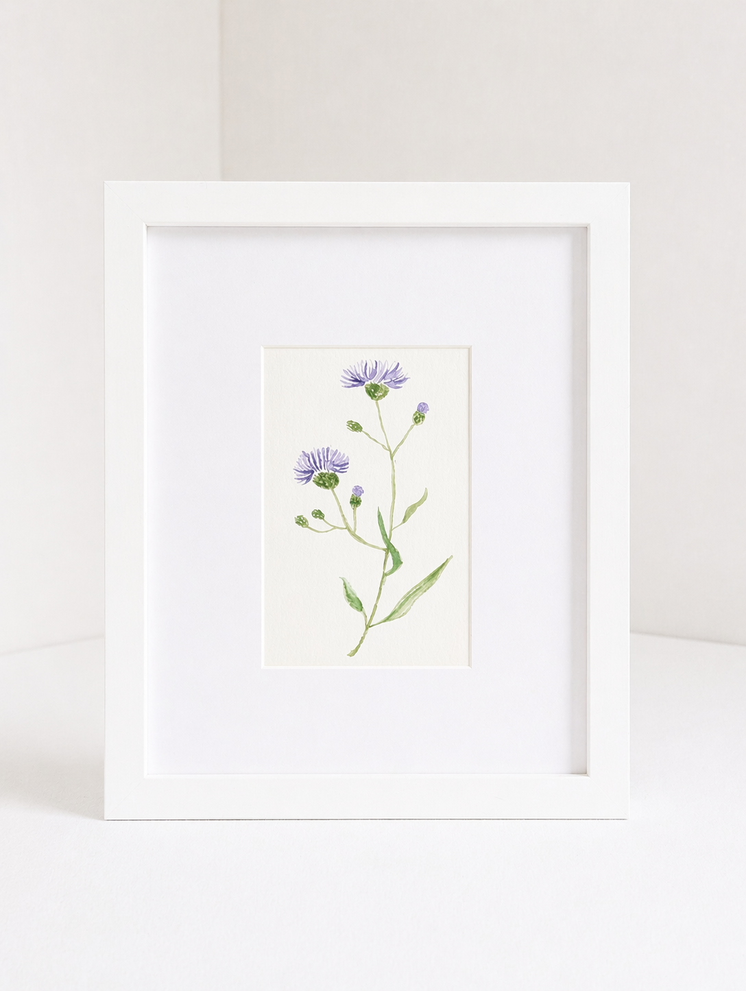 cornflower_no.1.png