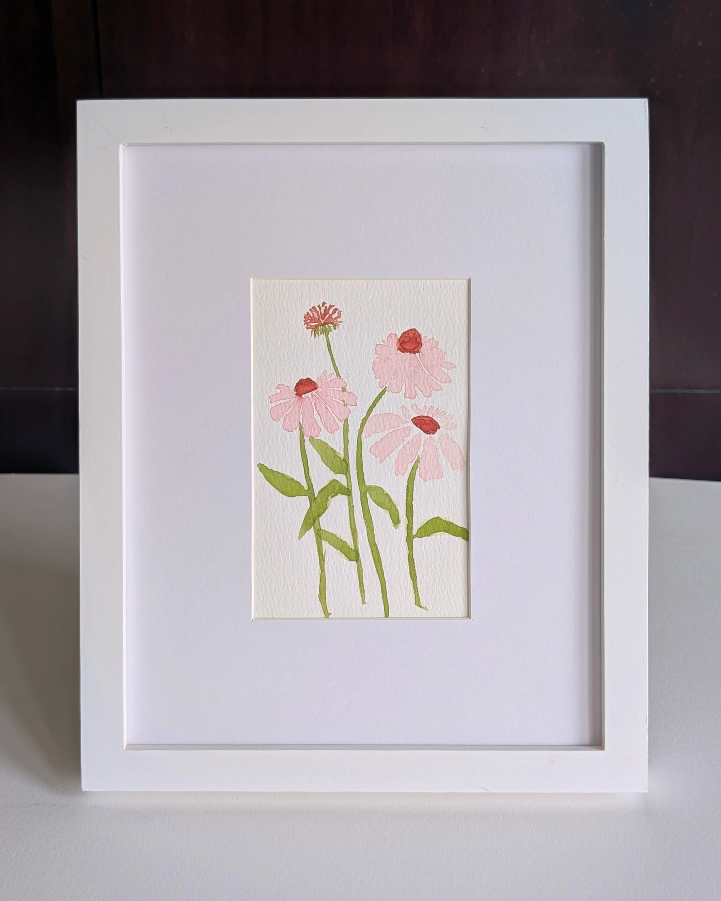 echinacea_no.2.jpg