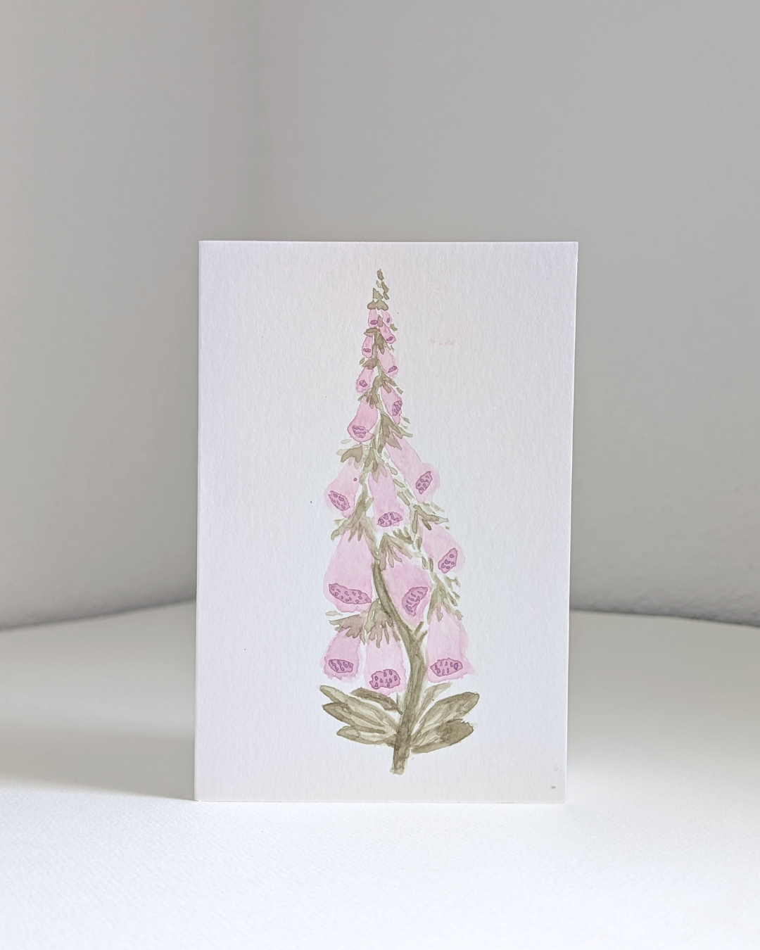 foxglove_no.2.png