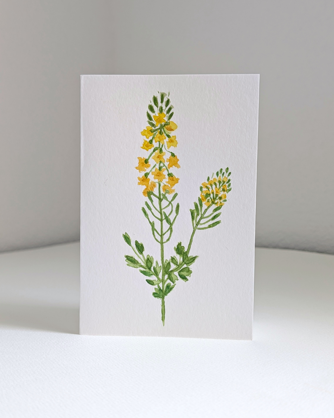 yellow rocket no. 2