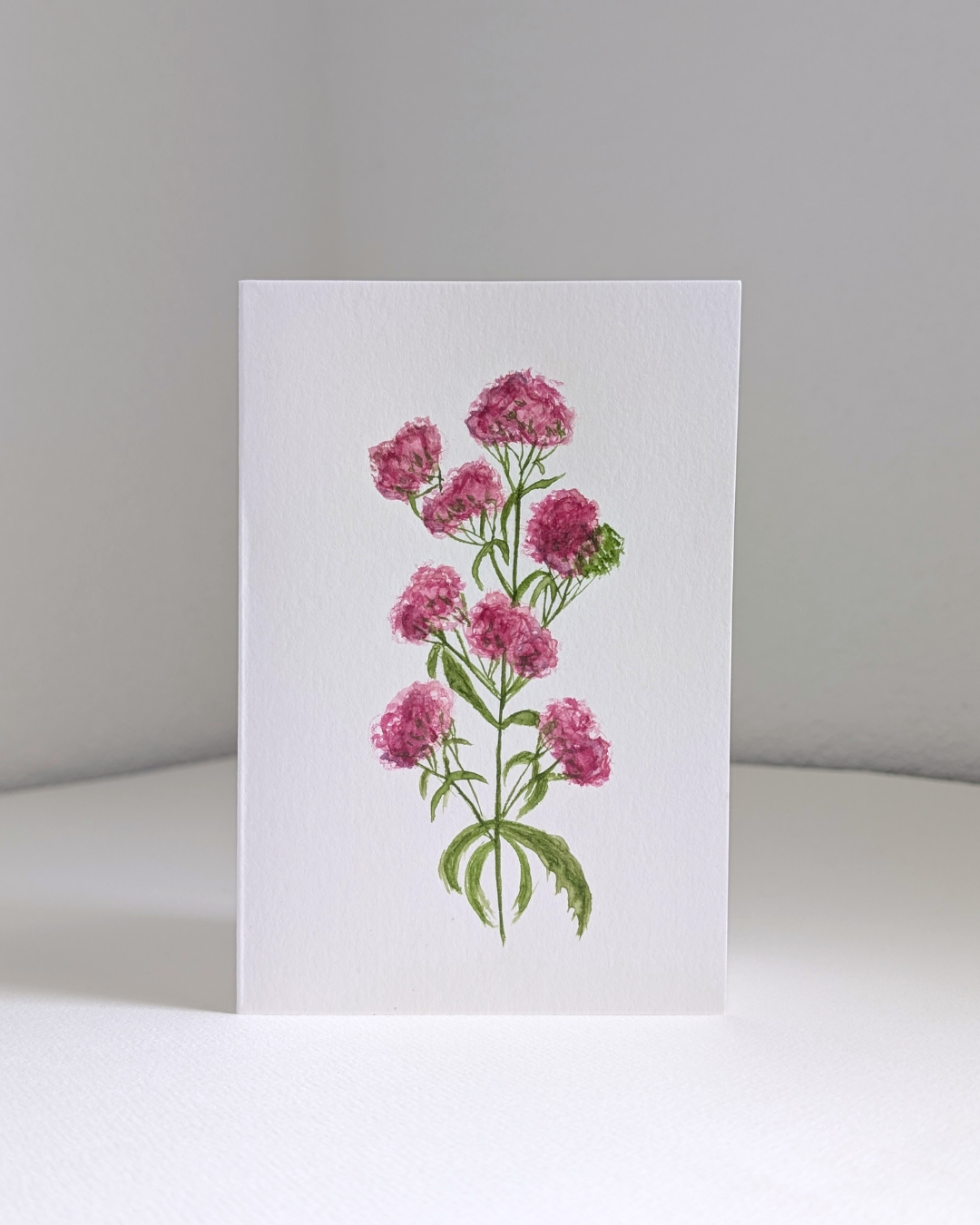 valerian no. 2