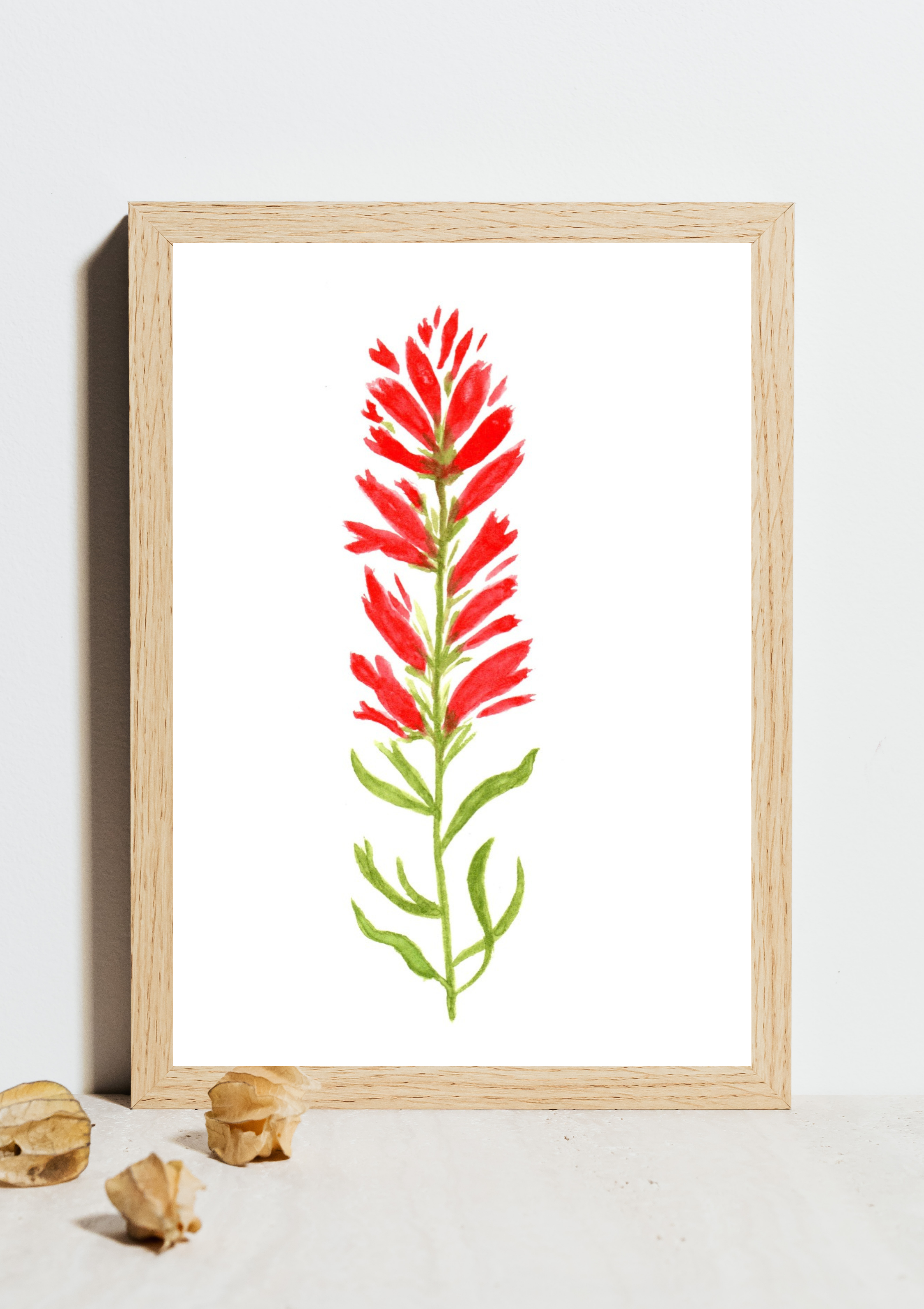 Indian Paintbrush No.2 Hand-Painted Watercolor Art