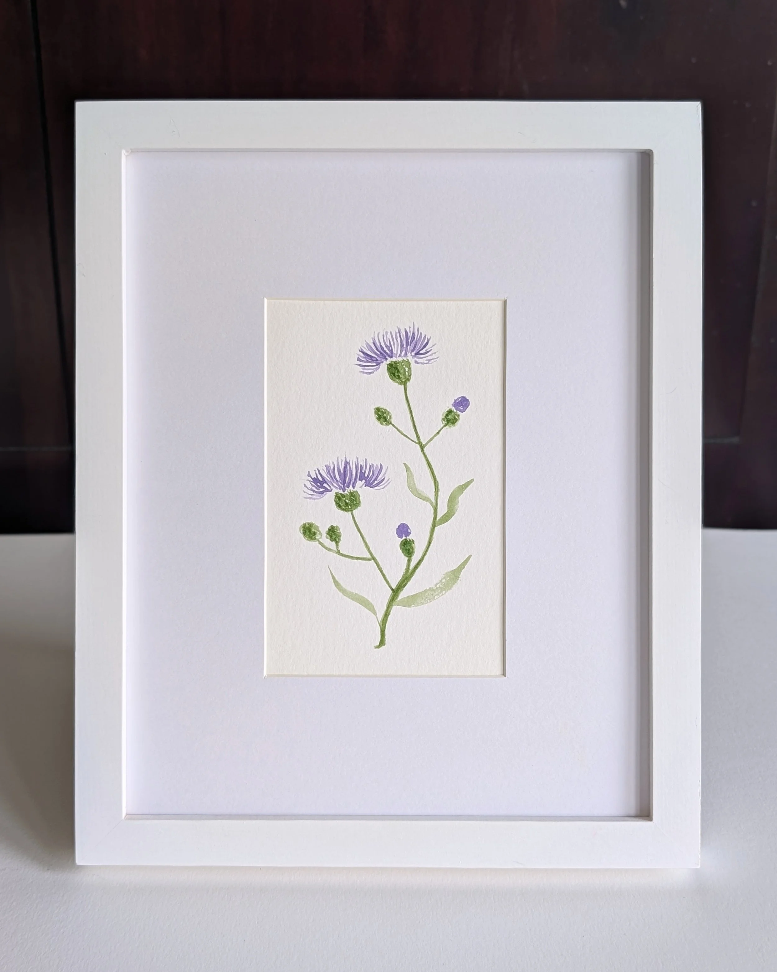 cornflower_no.2.jpg