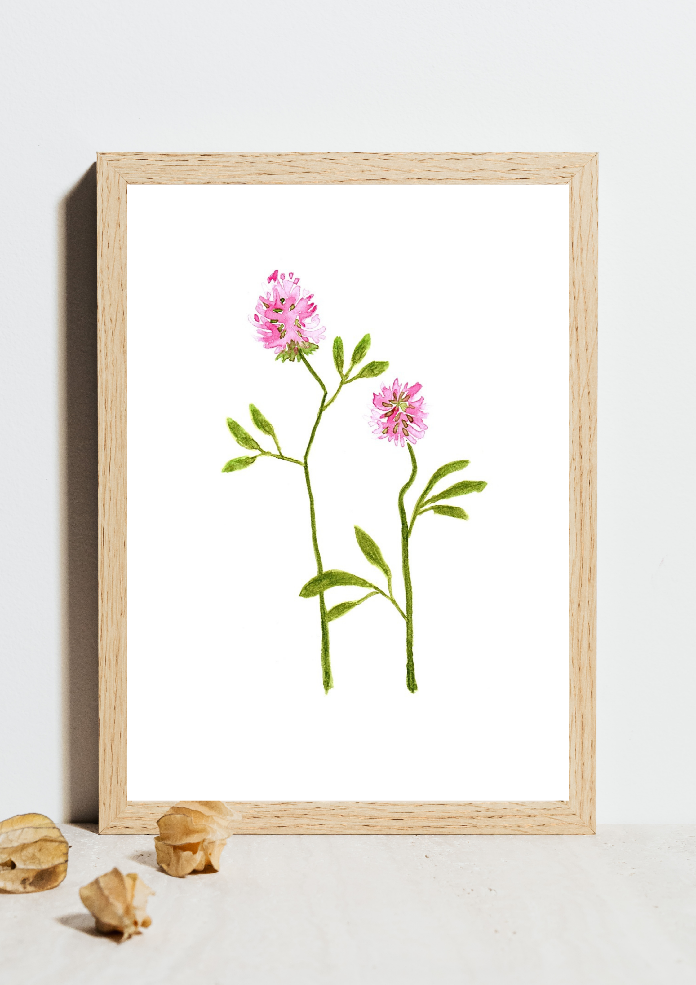 Red Clover No.2 Hand-Painted Watercolor Art