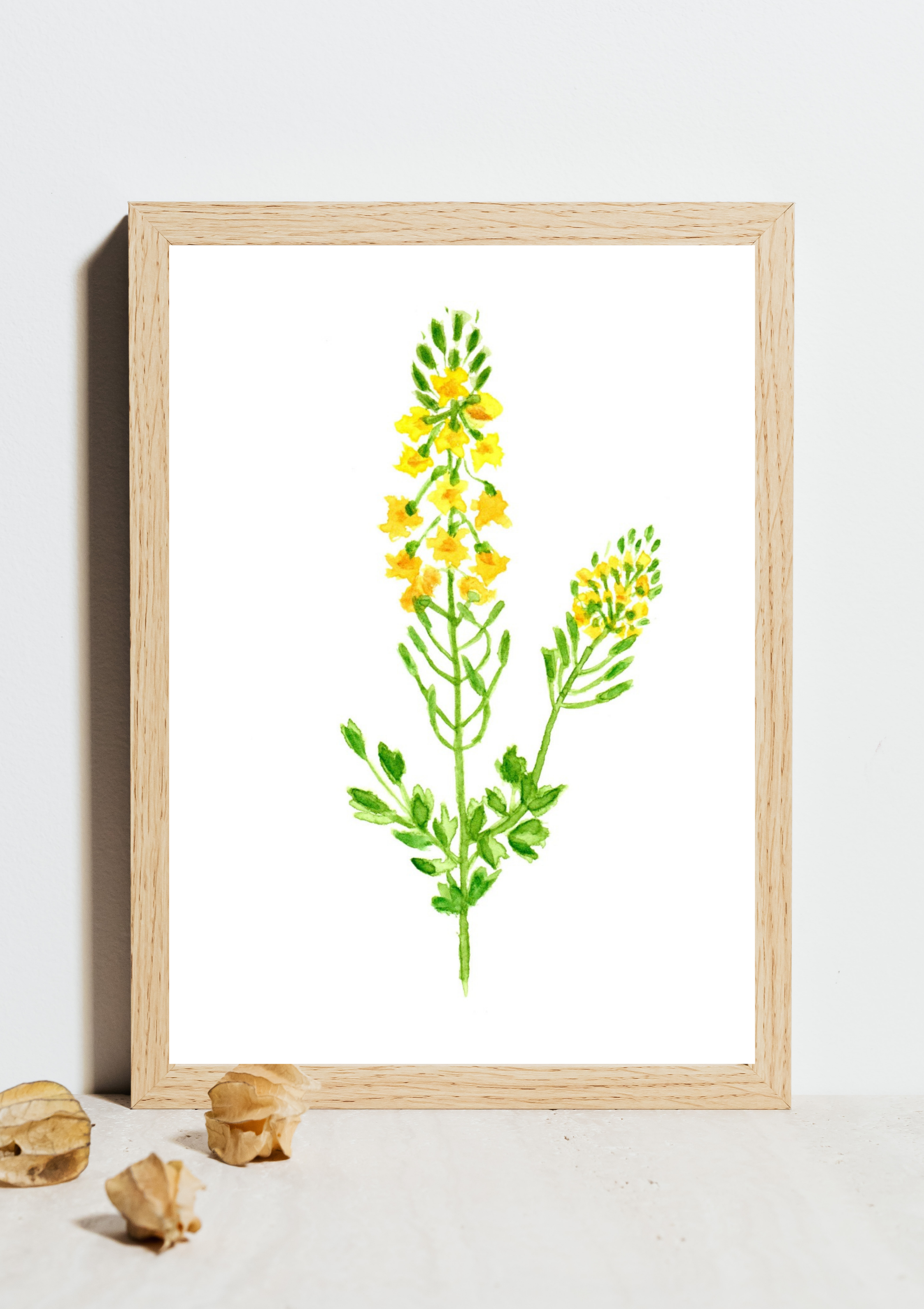 Yellow Rocket No.2 Hand-Painted Watercolor Art