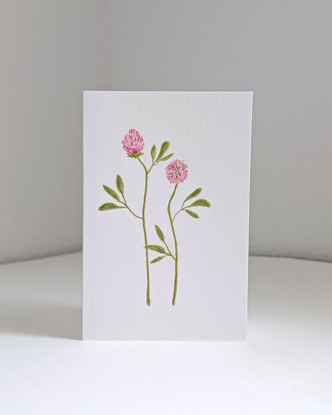 red clover no. 1