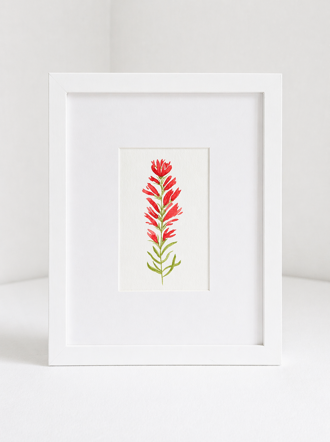 indian_paintbrush_no.1.png