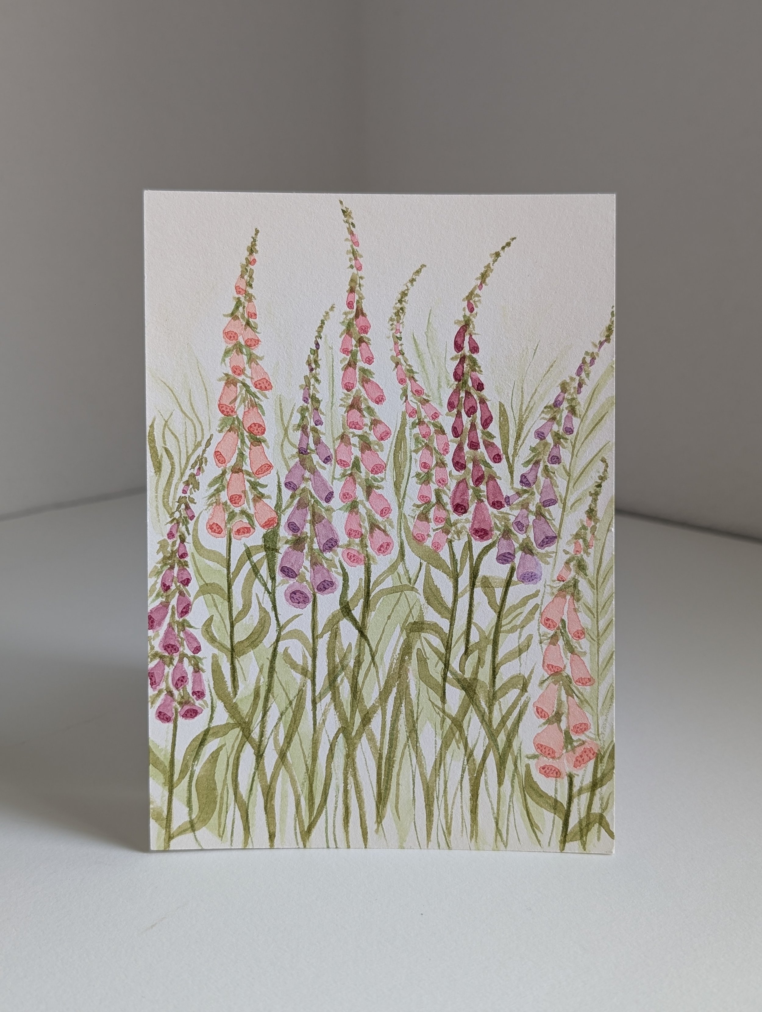 Field of Foxgloves