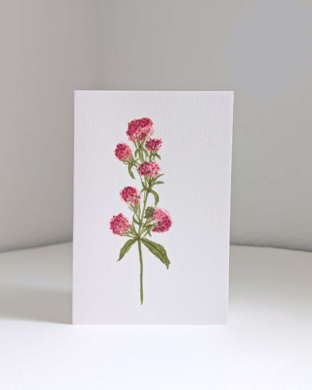 valerian no. 1