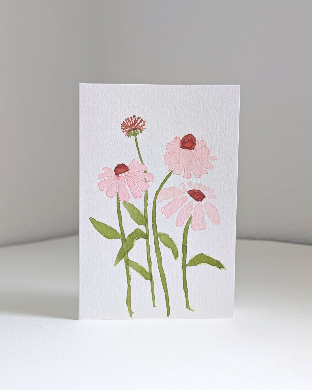 echinacea_no.2.png