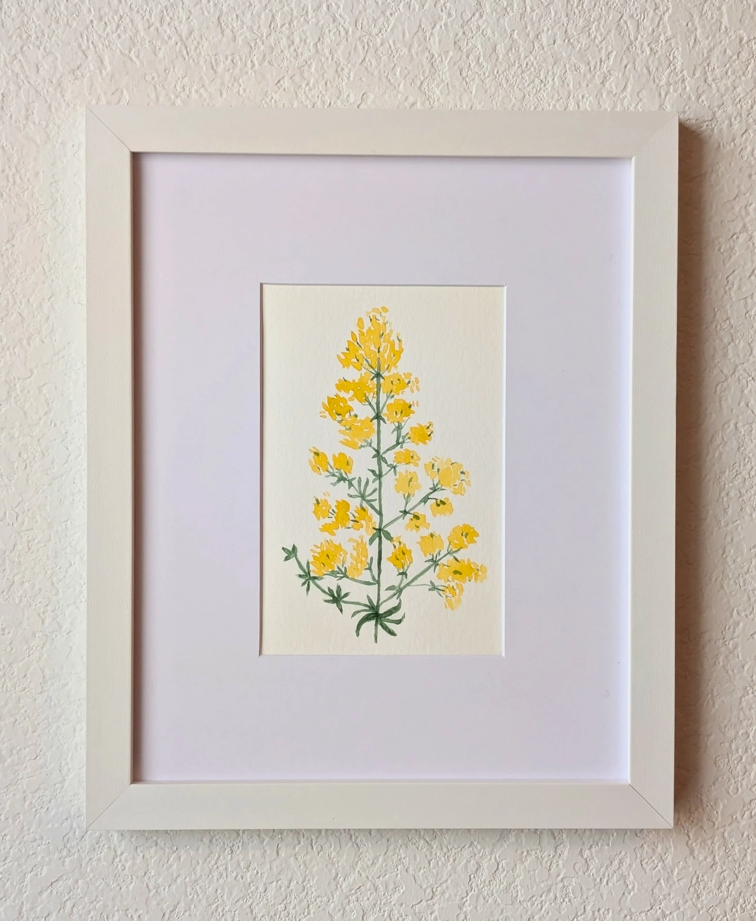 Lady's Bedstraw No.2 Original Watercolor Painting | 4x6