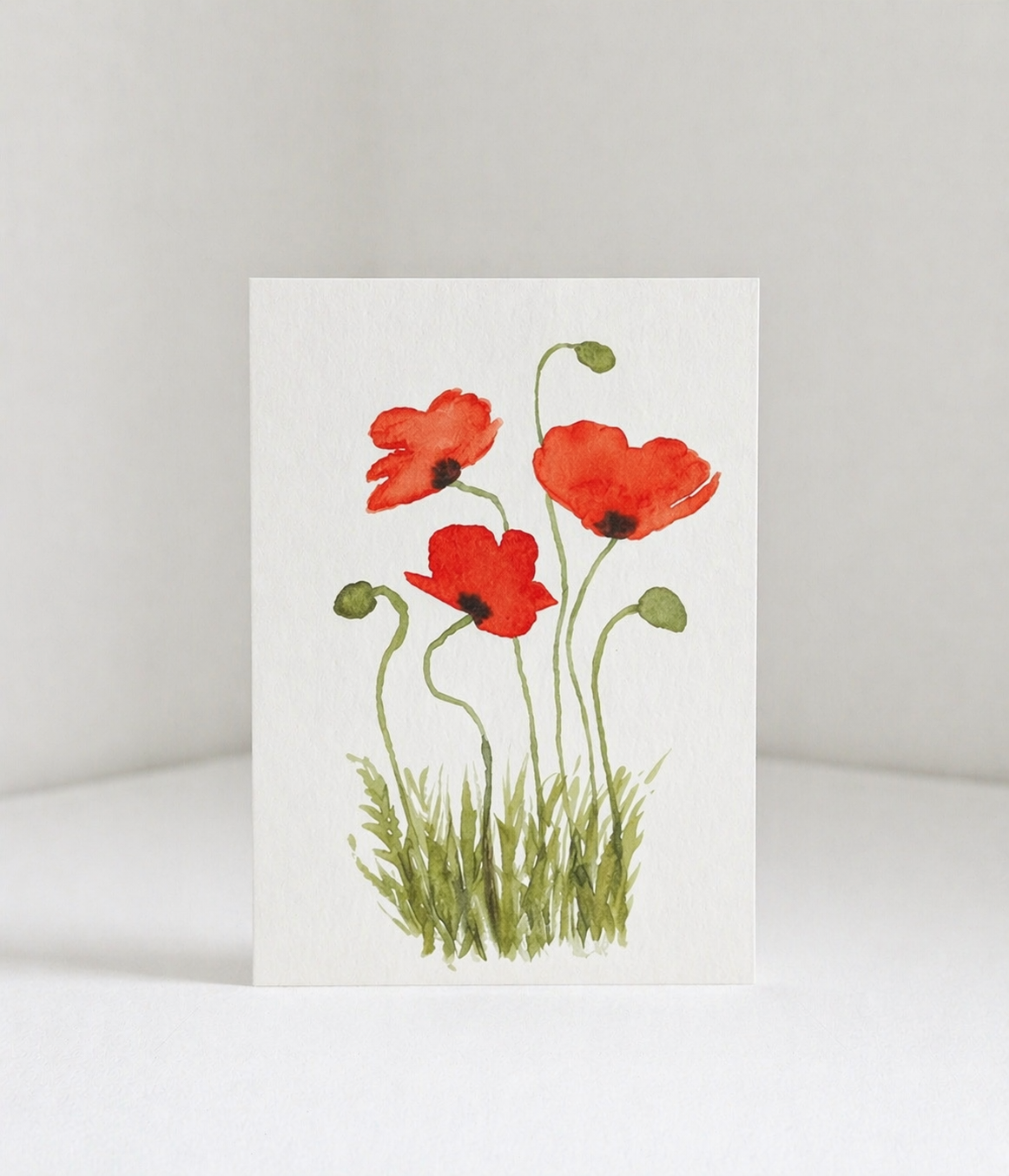 poppy no. 1
