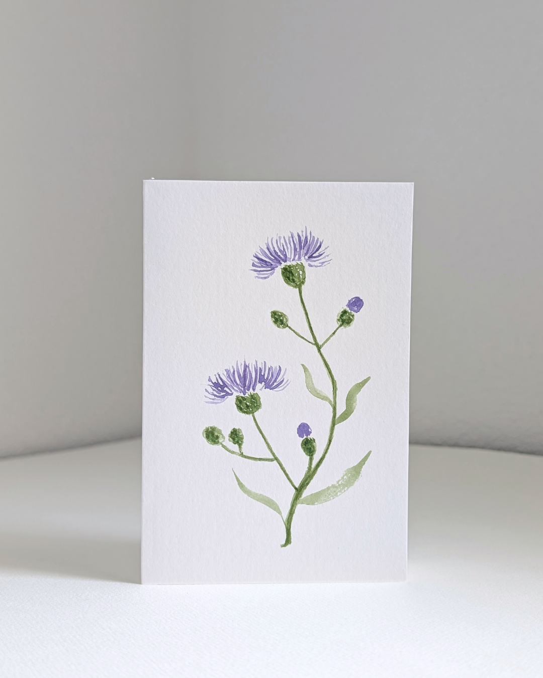 cornflower_no.2.png