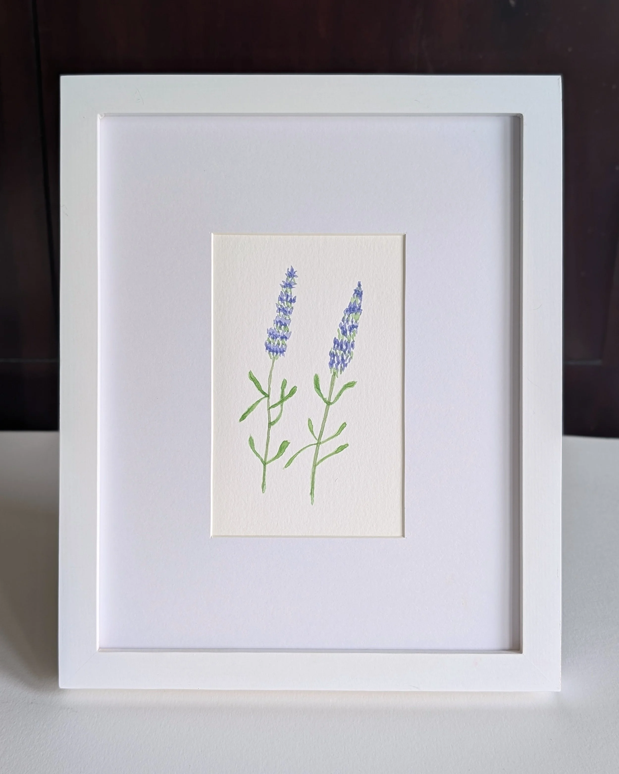 lavender_no.2 (1).jpg