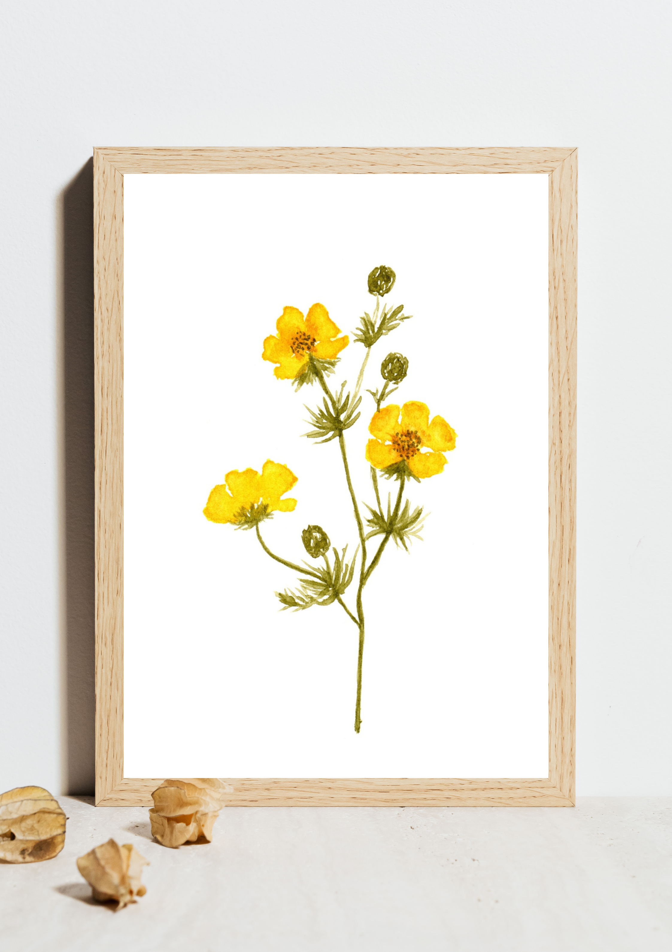 Buttercup No.2 Hand-Painted Watercolor Art