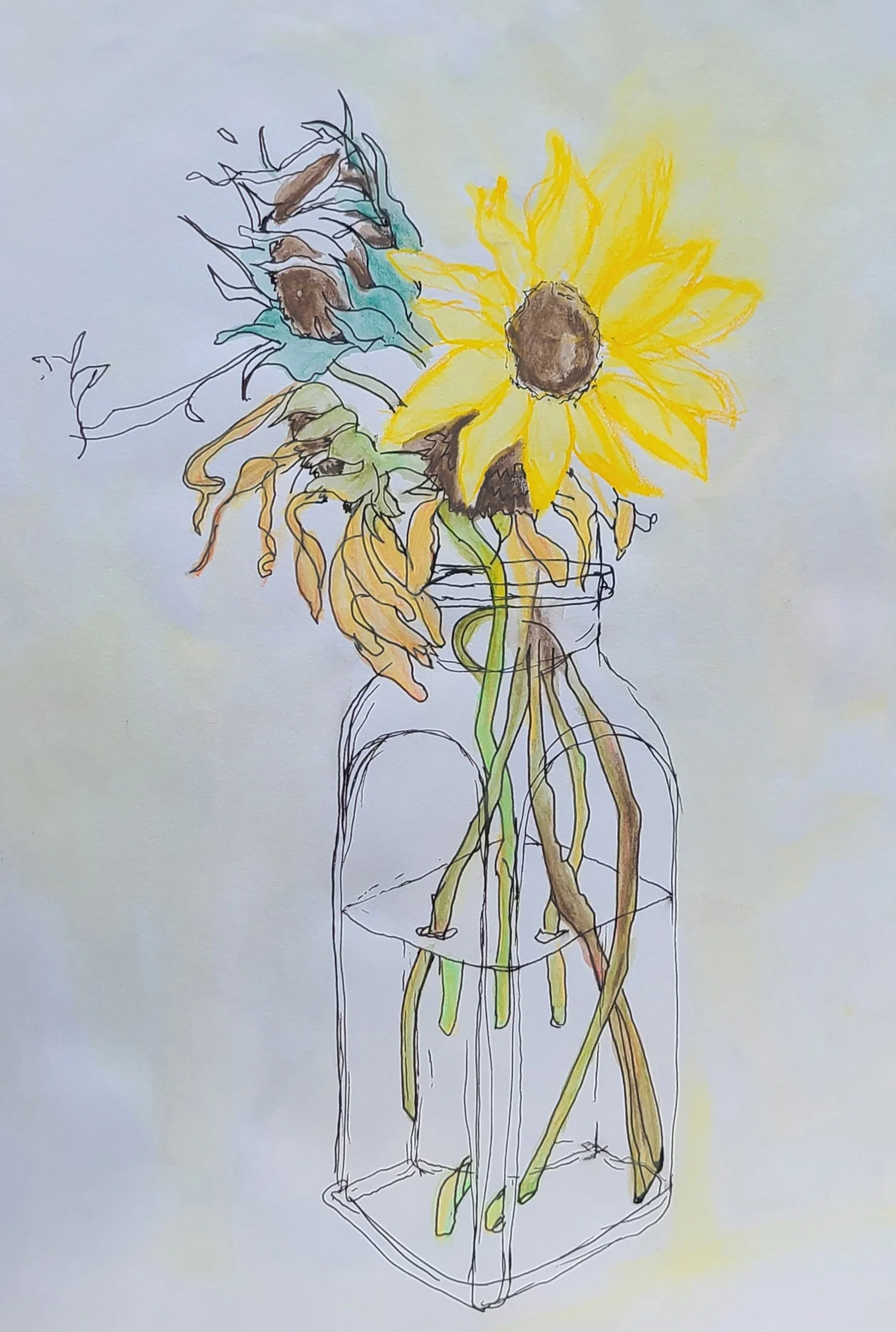 yellowdeadflowerstudy.jpg