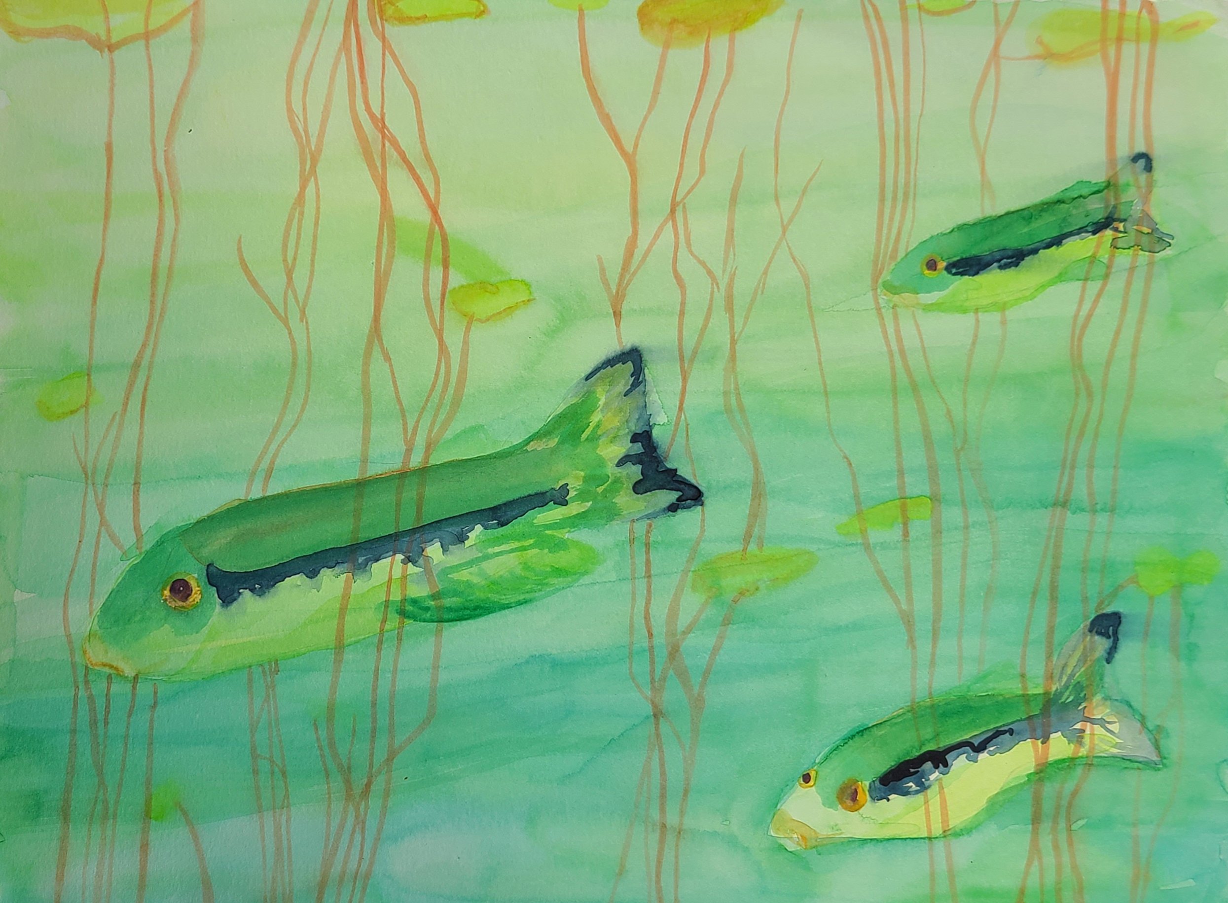 fishfish.jpg