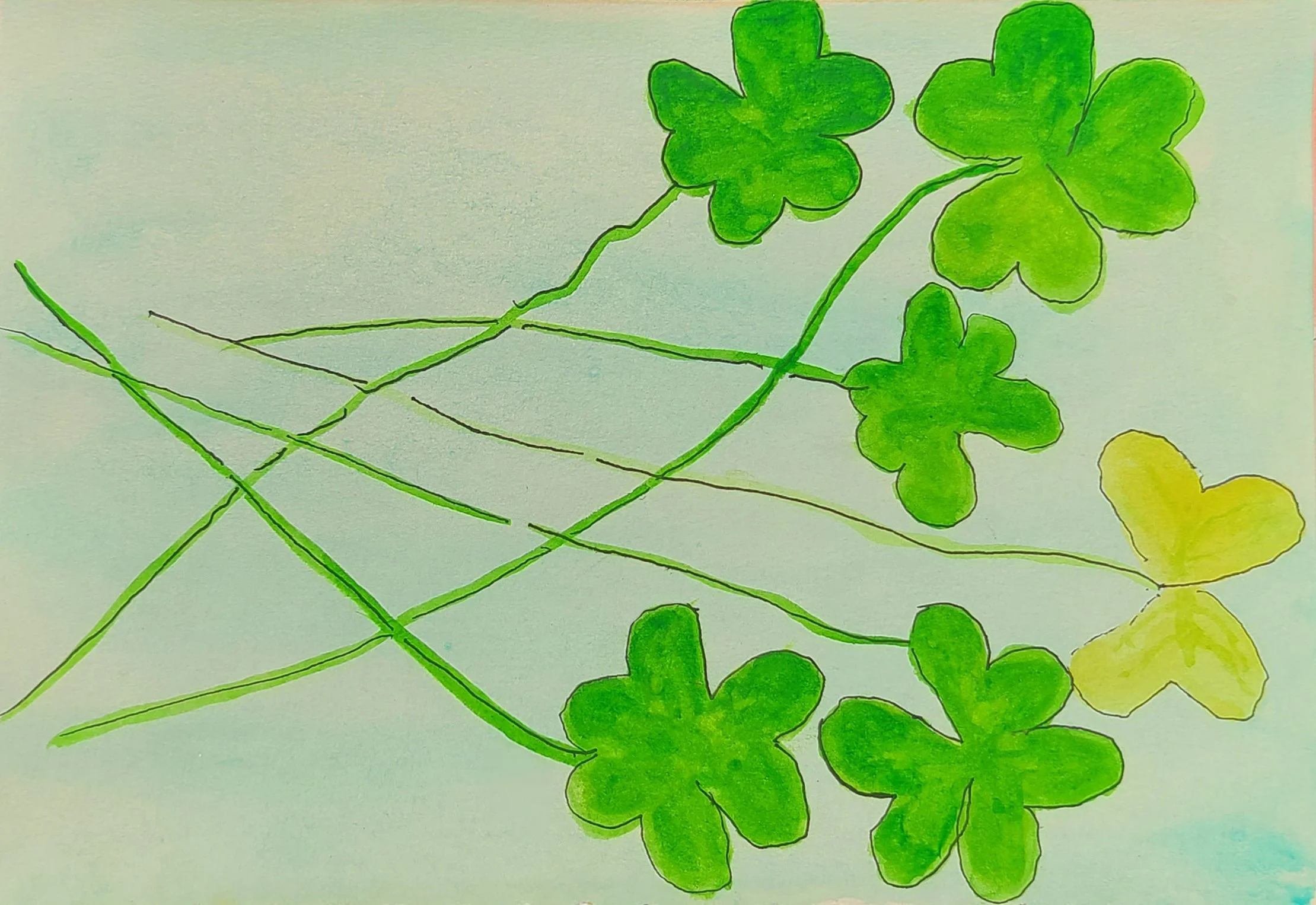 cloversideways.jpg
