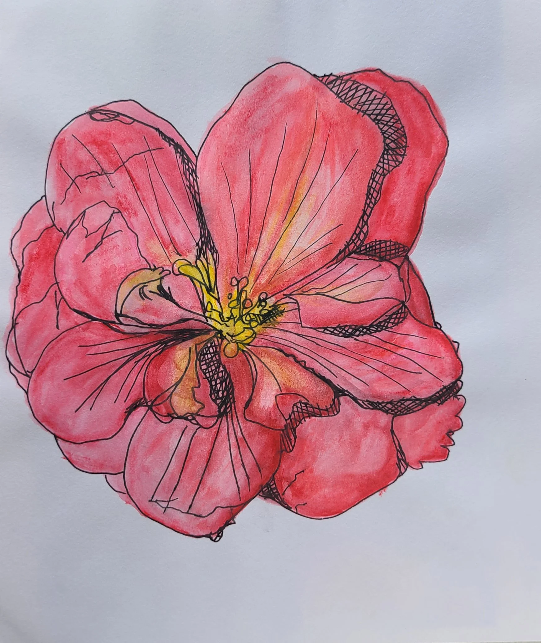 pinkflower.jpg