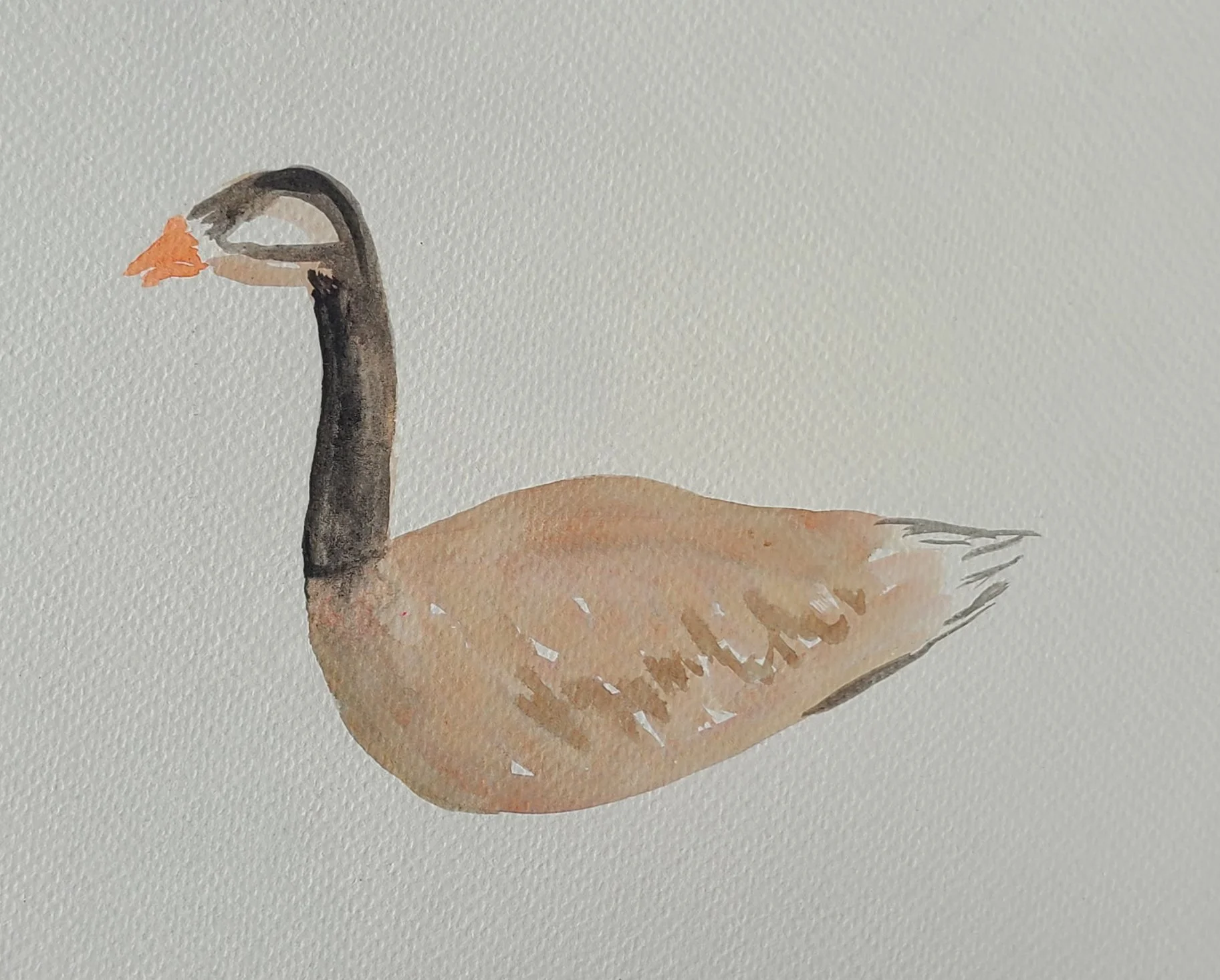 goose.jpg