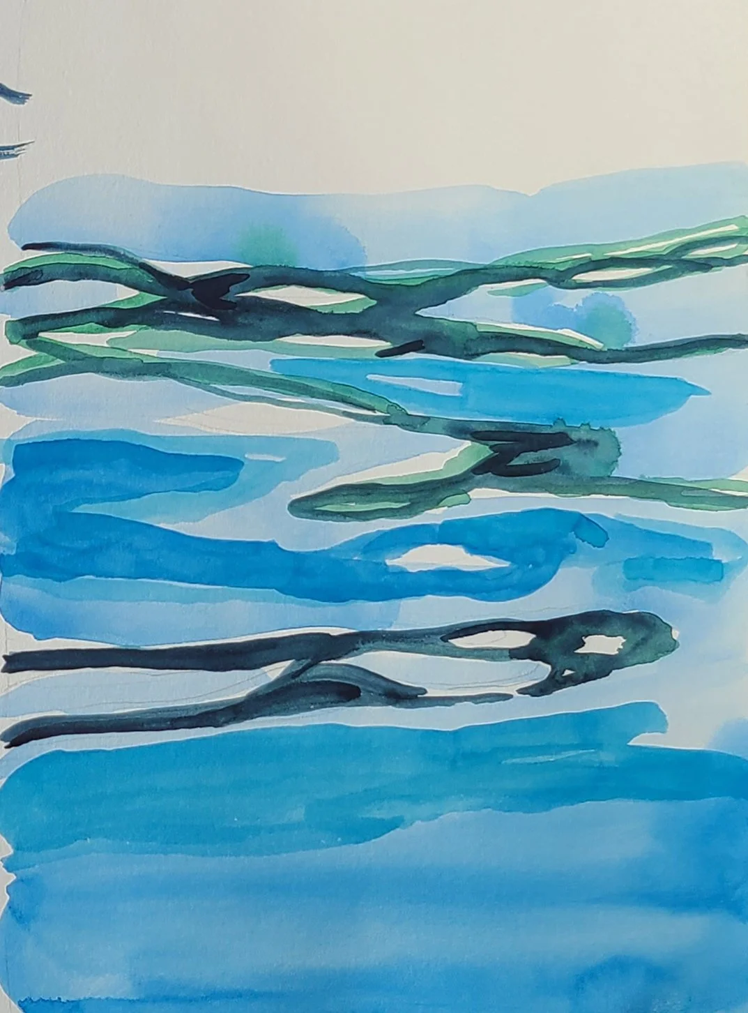 waterstudy.jpg
