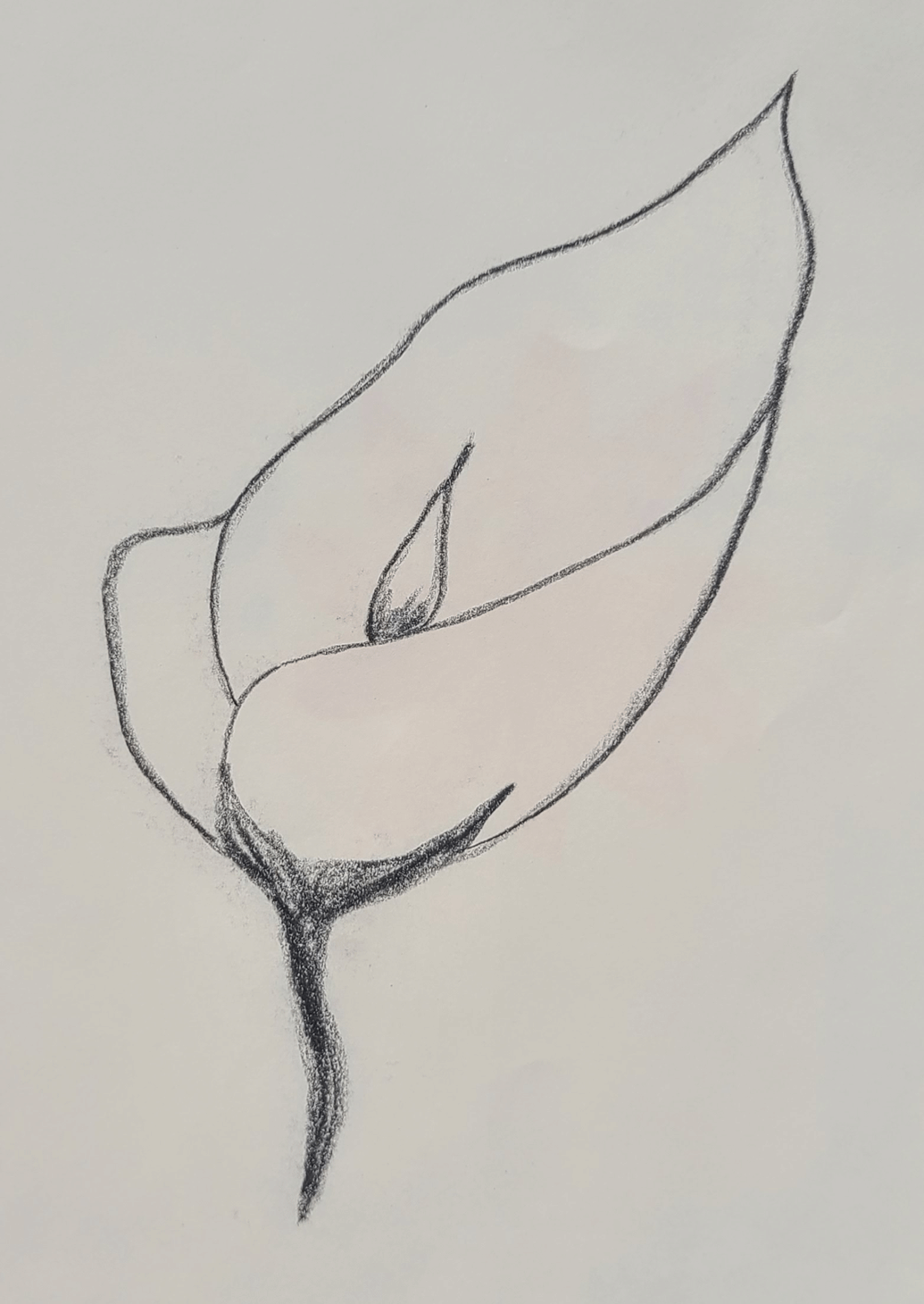 20260419_150848.png