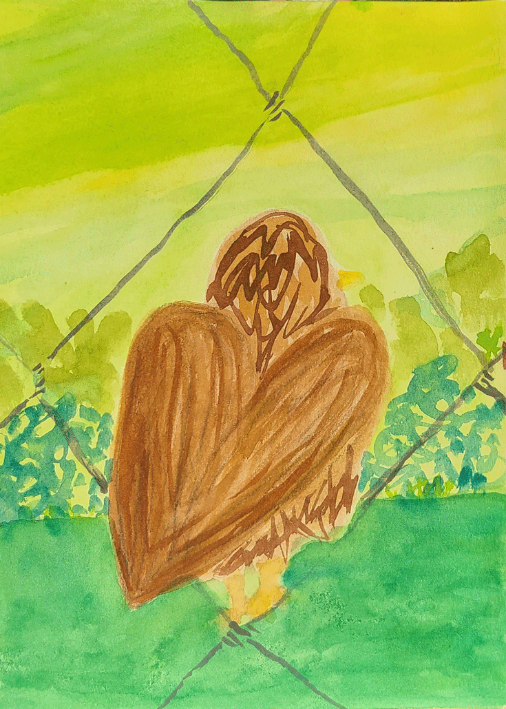 birddiamondfence-web.png