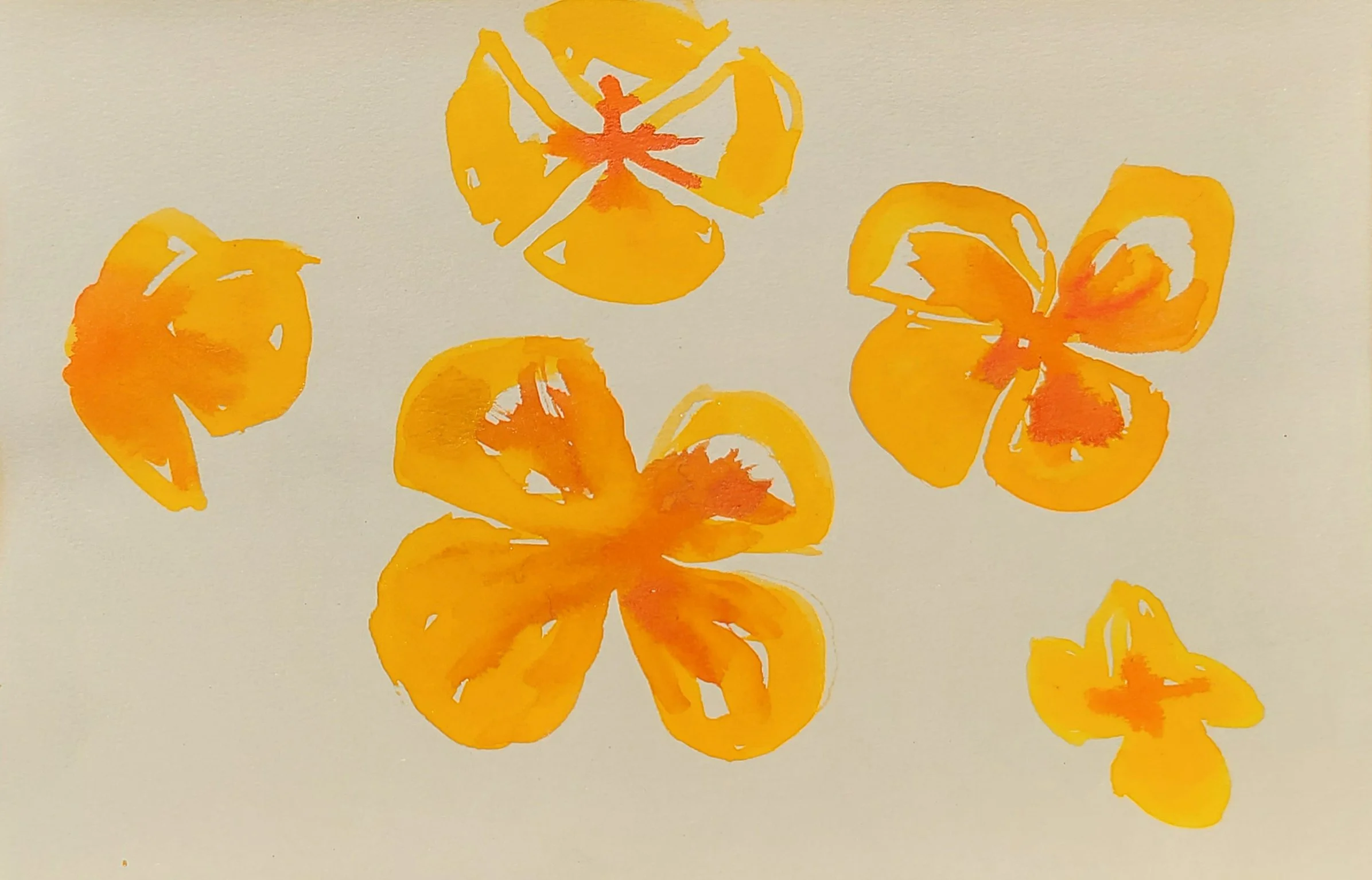 poppies.jpg