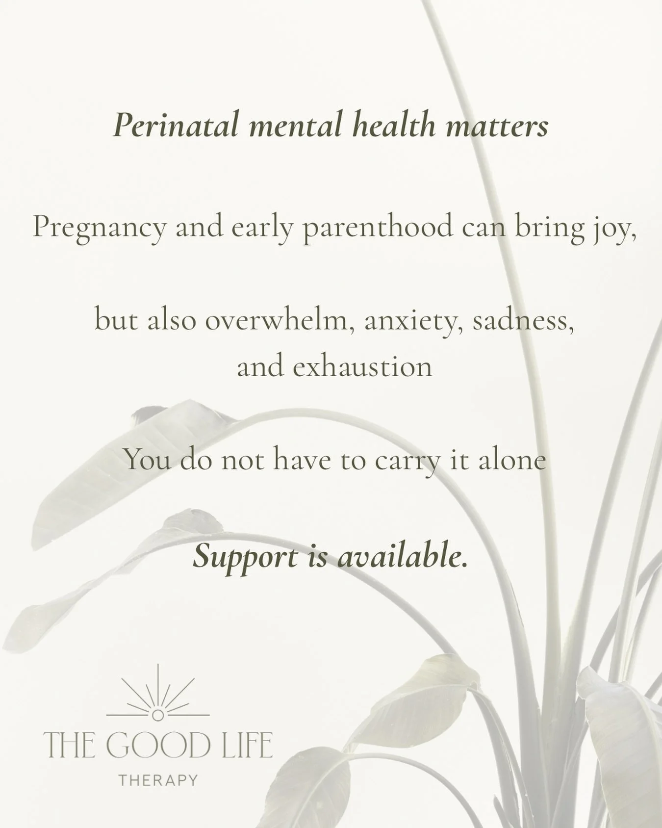 Perinatal mental health is just as important as physical health

Pregnancy, birth, and the transition into parenthood can bring a wide range of emotions including anxiety, overwhelm, low mood, grief, irritability, or feeling unlike yourself

These ex