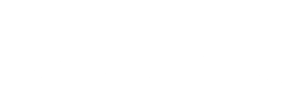 Capital One logo in white
