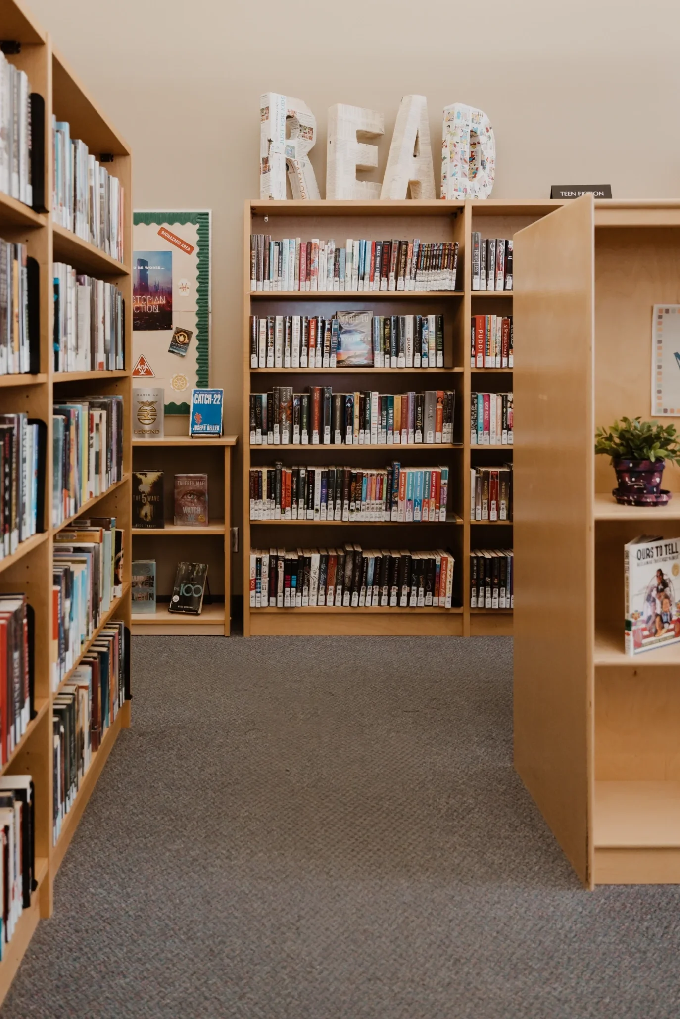 A wide shot of library shelves
