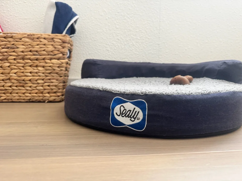 Dog beds provided for four-legged guests at Amaya’s Cabin