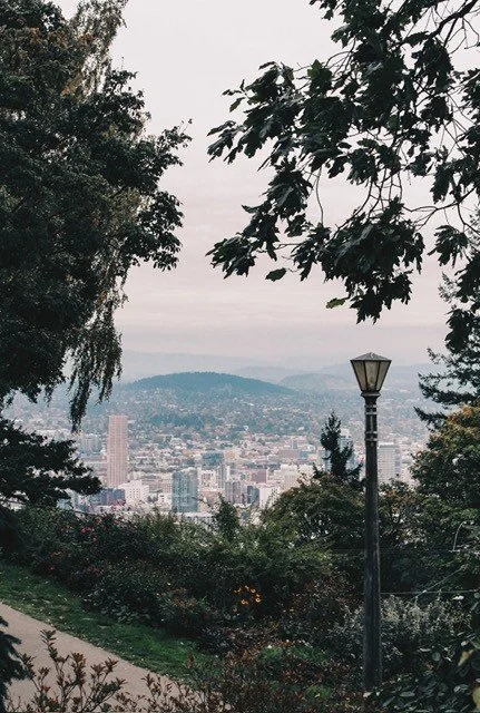 View of a cityscape from a park with trees, a lamppost, and mountains in the background.