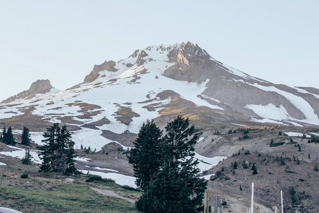 Snow-capped mountain with rocky slopes and evergreen trees in foreground