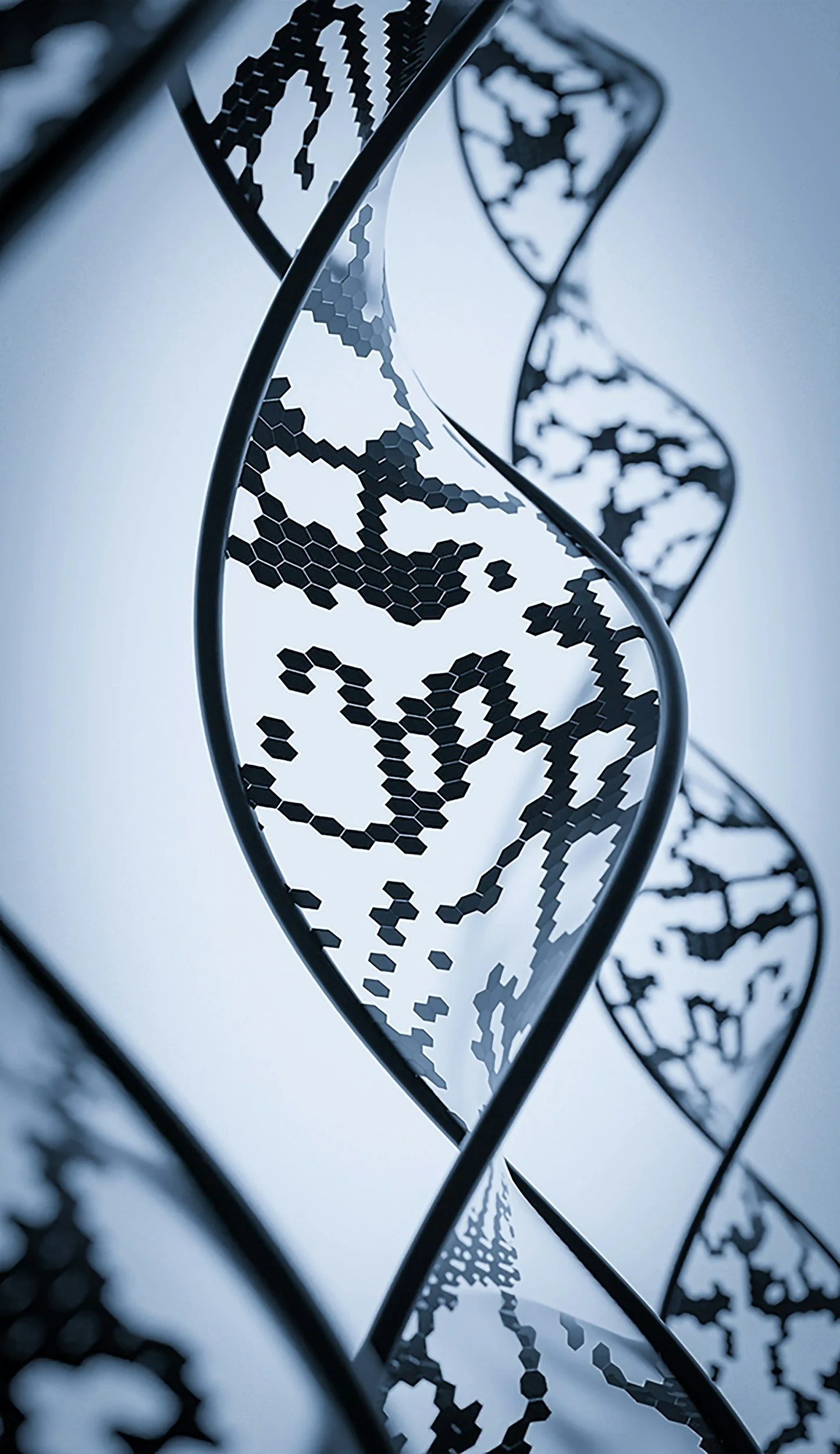 Close-up view of a modern sculpture resembling a DNA double helix, made of black honeycomb-patterned panels on a light background.