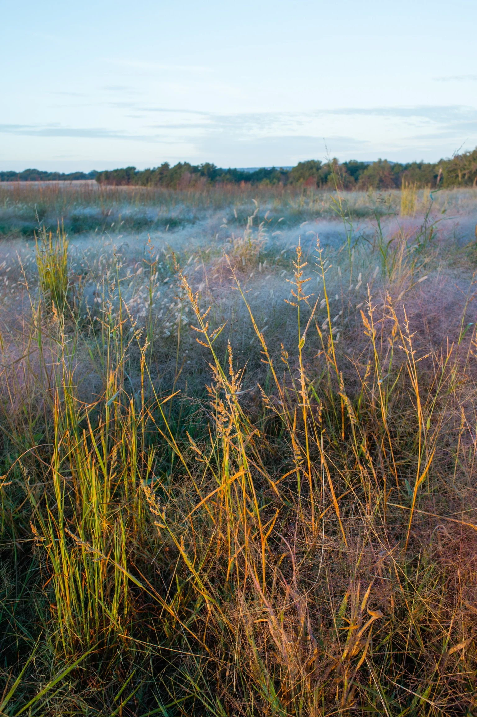 262.d3s.302.2017.44. liz banfield.JPG