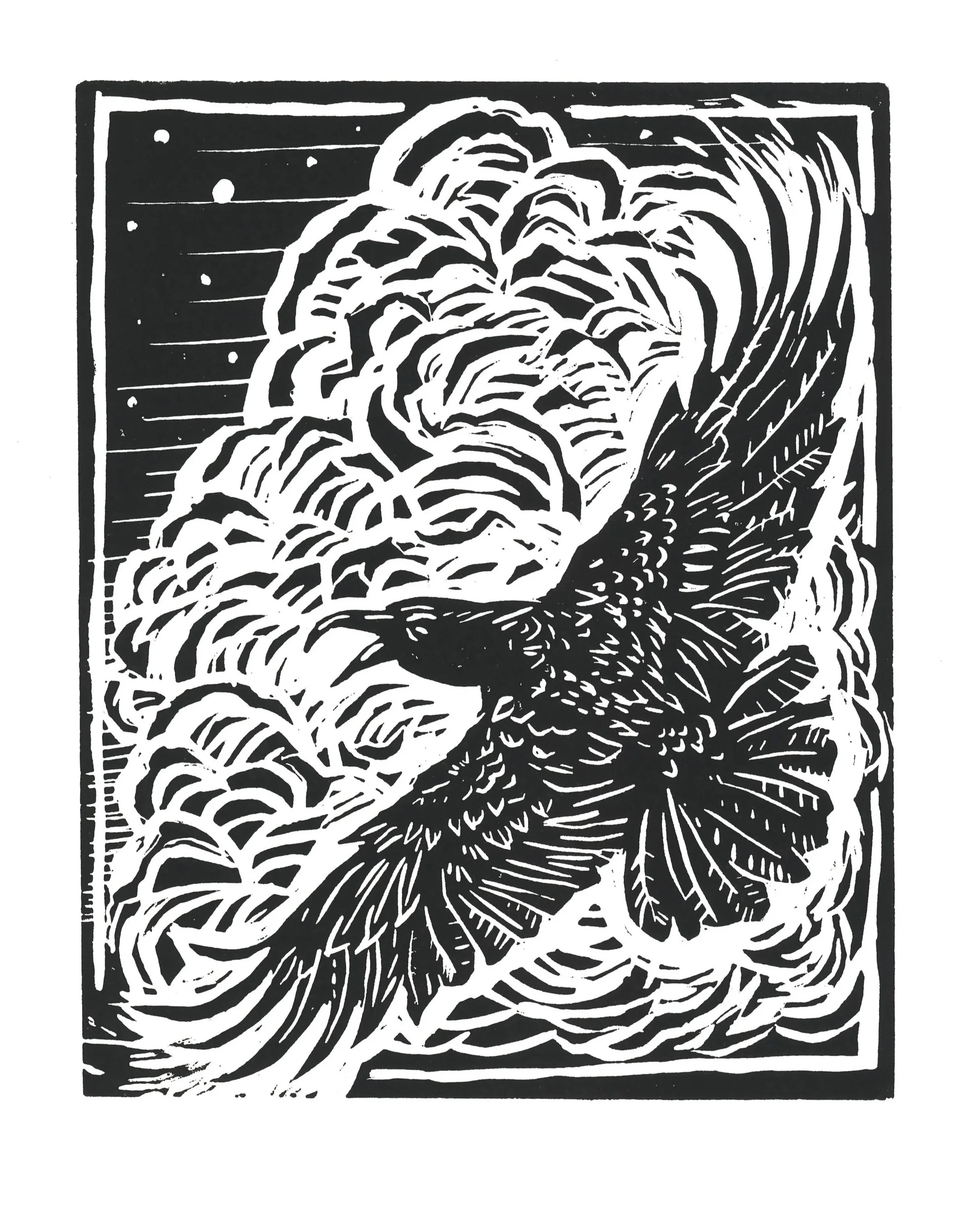 "Raven" 2025, Linocut, 9 x 11 inches