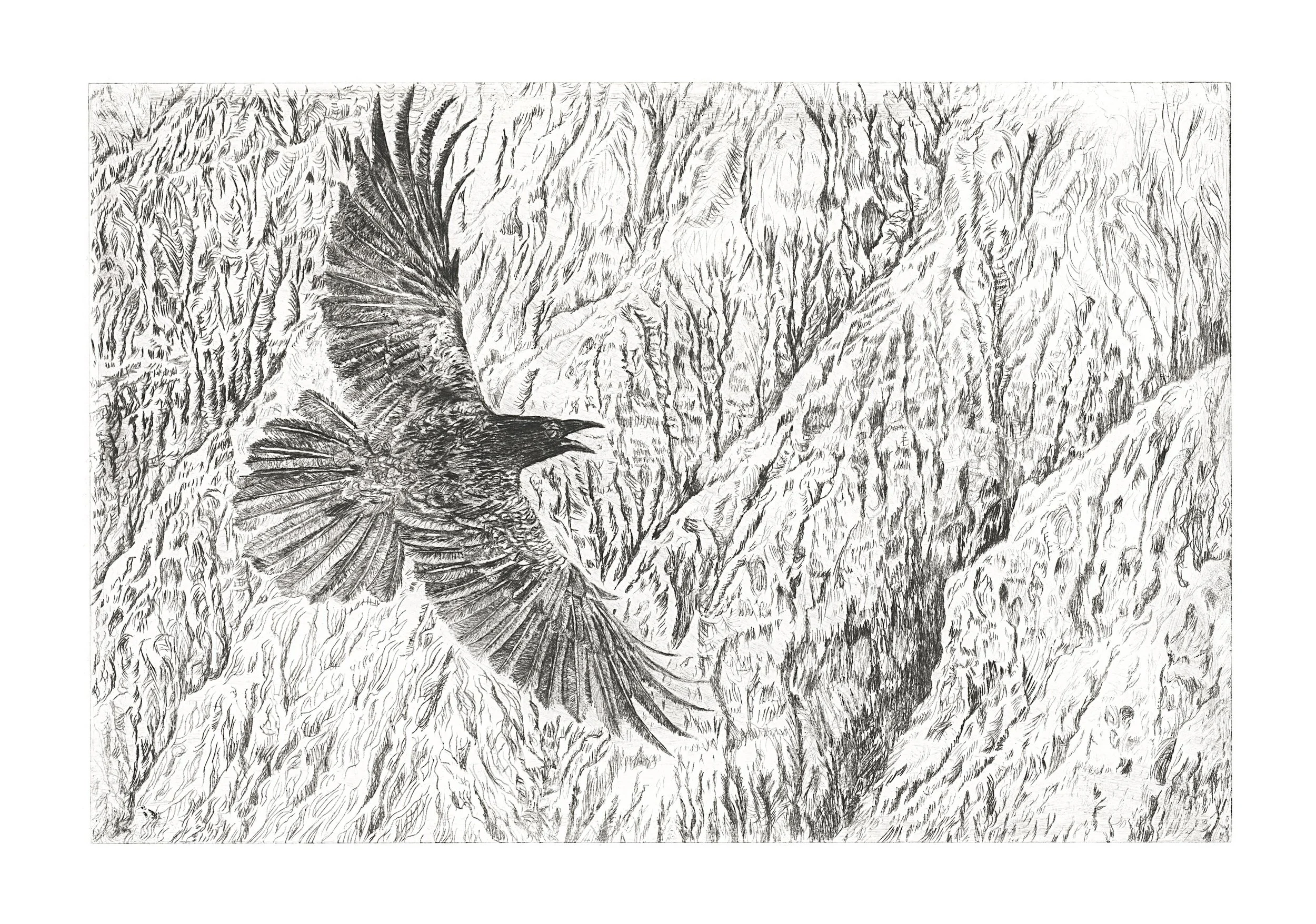 "Desert Soul" 2025, Drypoint, 8 x 12 inches