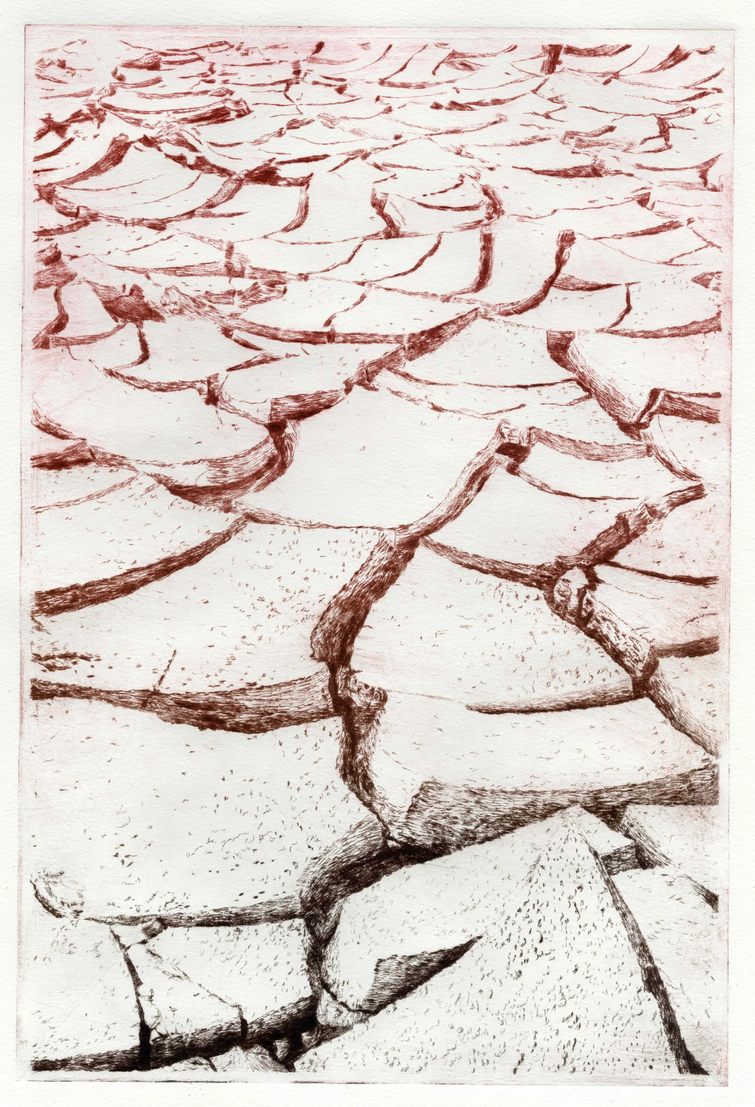 "Mazar E Sharif" 2025, Drypoint, 8 x 12 inches